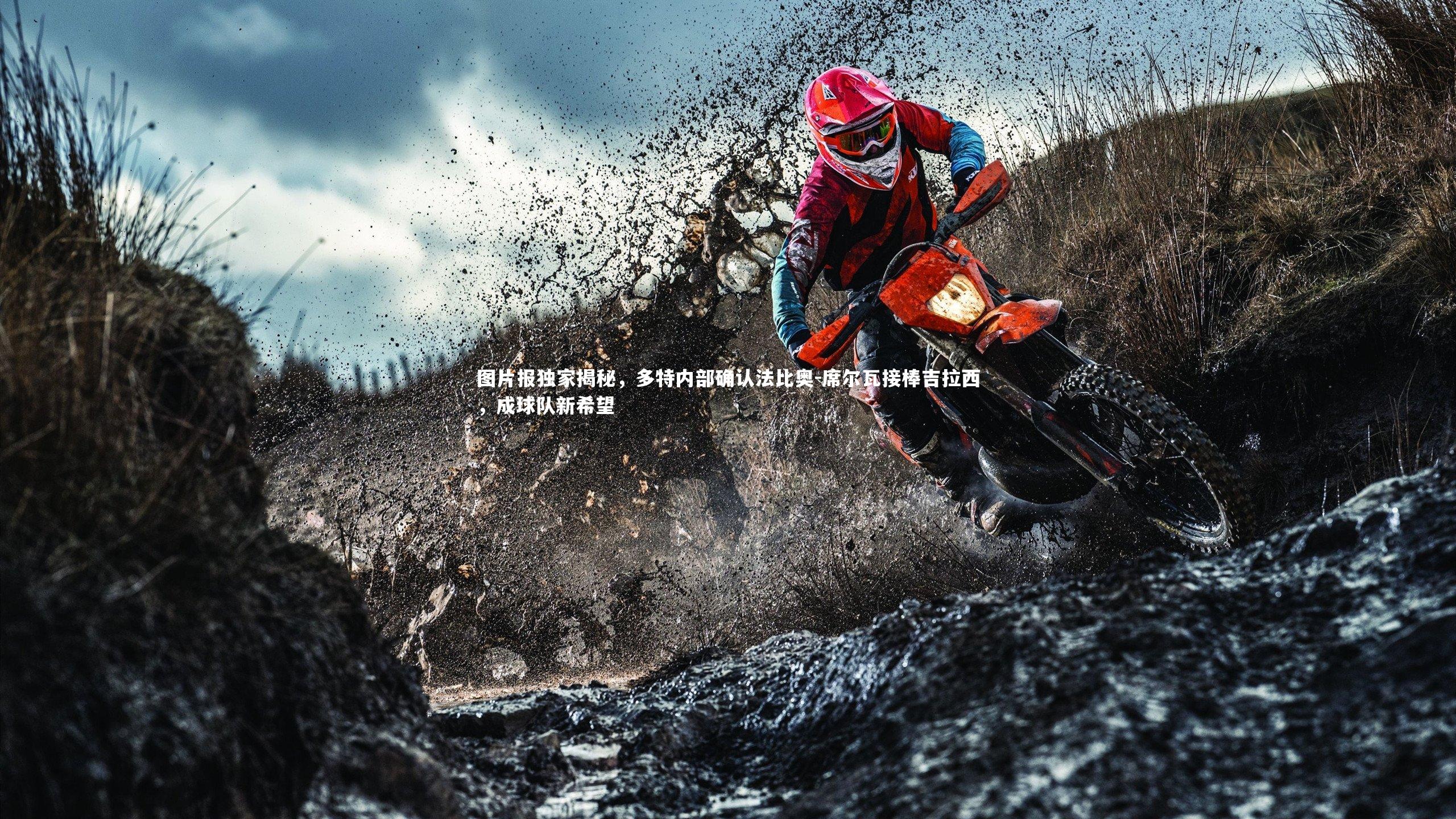 图片报独家揭秘，多特内部确认法比奥-席尔瓦接棒吉拉西，成球队新希望